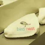 Bird Nest