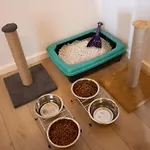 Bird Nest Aparthotel Provincia di Istanbul