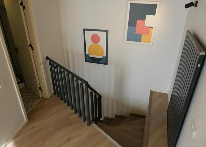 Bird Nest Provincia di Istanbul