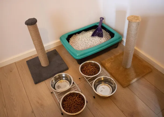 Bird Nest Aparthotel Provincia di Istanbul