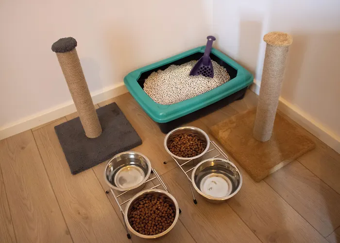 Aparthotel Bird Nest Provincia di Istanbul