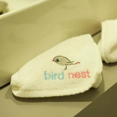 Bird Nest