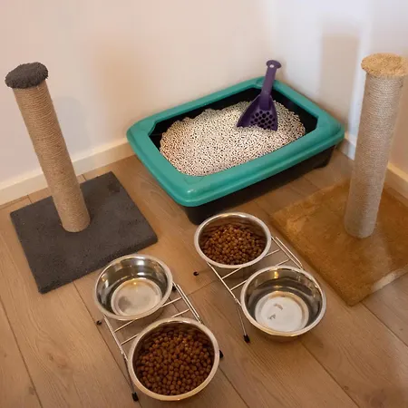 Bird Nest Apart-hotel Istambul